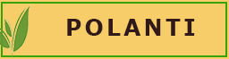 POLANTI