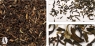 Чай TEA-CO "Дарджилинг" черный традиционный Индийский